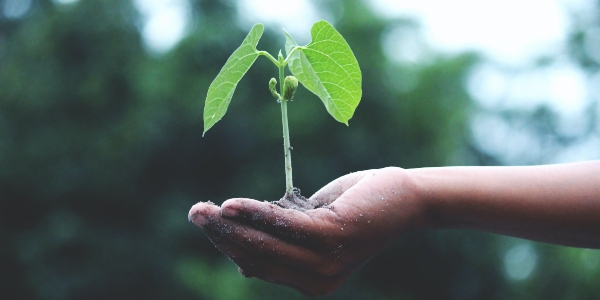 Sustainable funds
